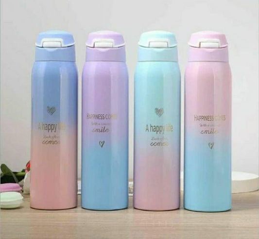 Stainless Steel Vacuum Sports Water Bottle – 500ml | Thermos Mug | Leakproof & Portable (Random Color)